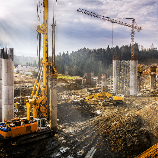 Development objectives